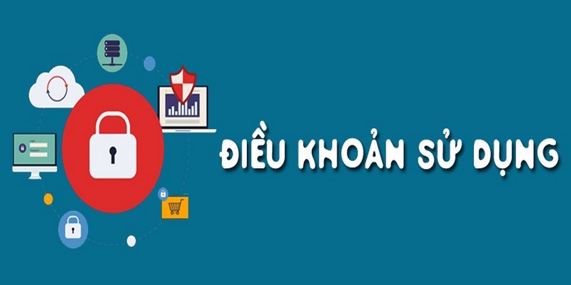 Thông tin điều khoản cụ thể